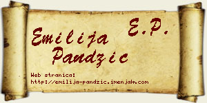 Emilija Pandžić vizit kartica